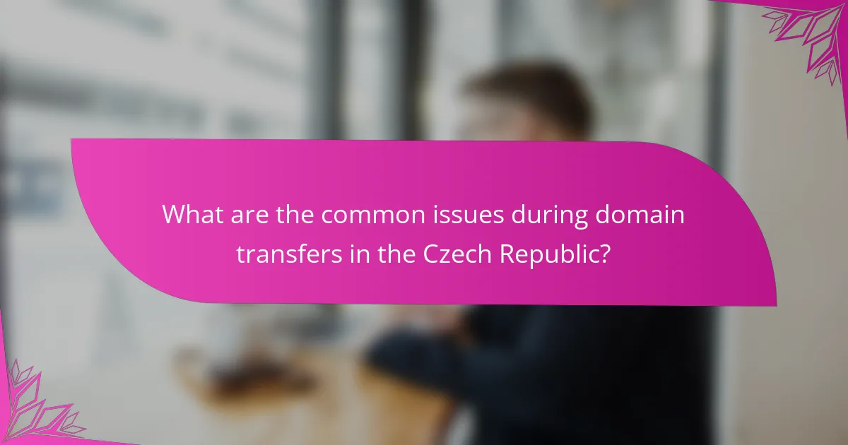 What are the common issues during domain transfers in the Czech Republic?