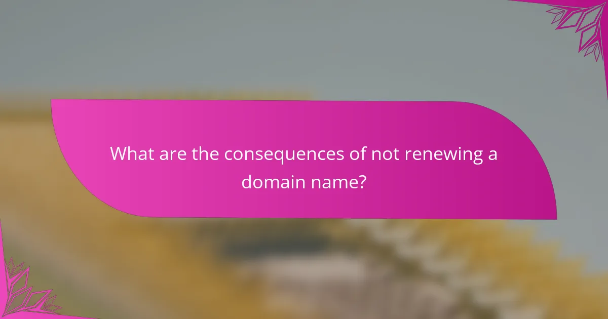 What are the consequences of not renewing a domain name?