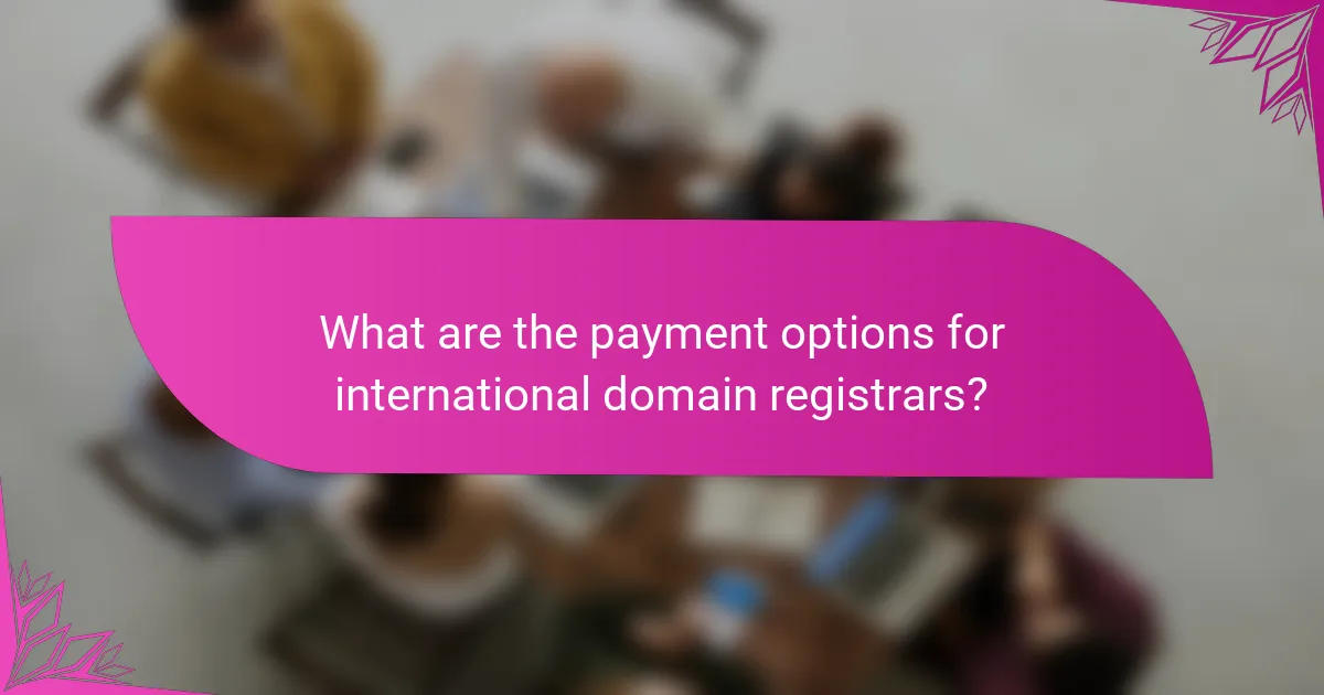 What are the payment options for international domain registrars?