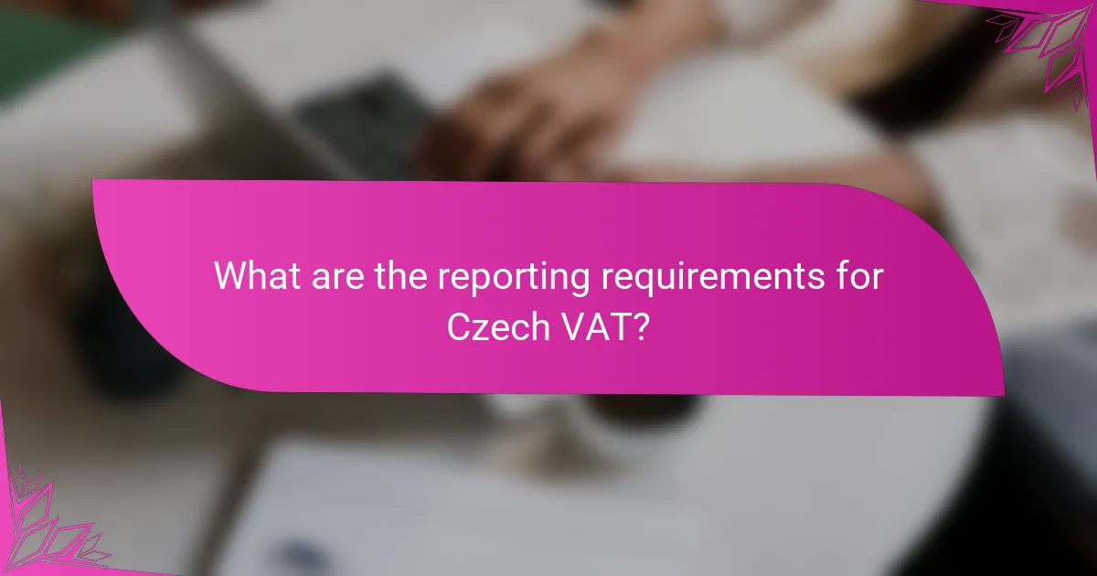 What are the reporting requirements for Czech VAT?
