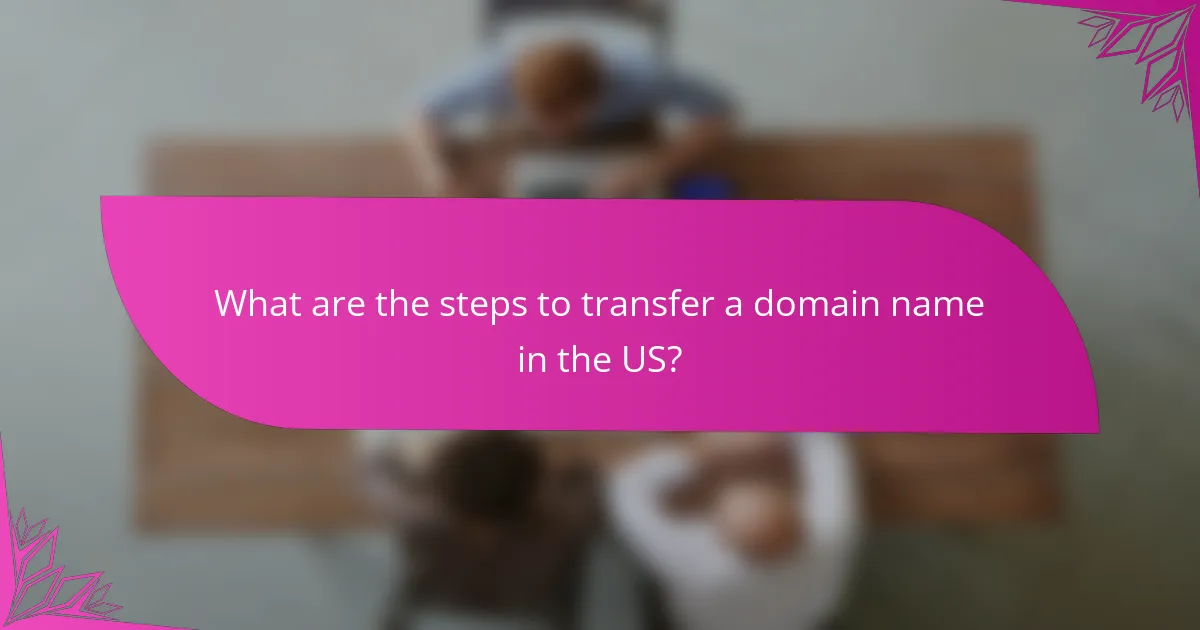 What are the steps to transfer a domain name in the US?