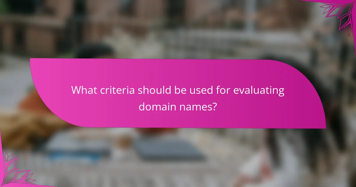 What criteria should be used for evaluating domain names?